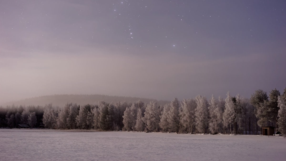 Winter in Lapland